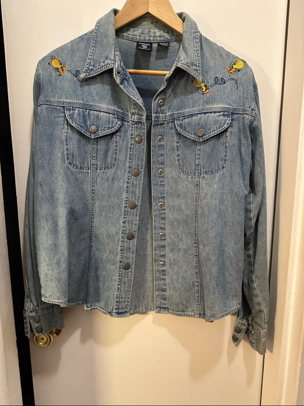 Warner Bros. Light Blue Denim Button-Down Shirt with Tweety Embroidery